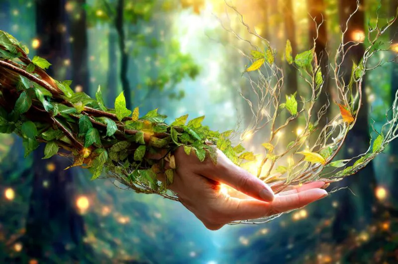 L'appel de la Nature chez Milüne se traduit dans son jardin