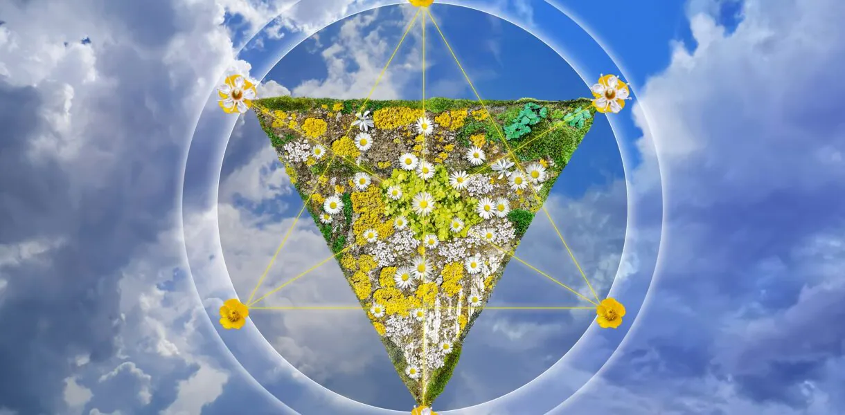 Sexothérapie Alchimique Intégrative